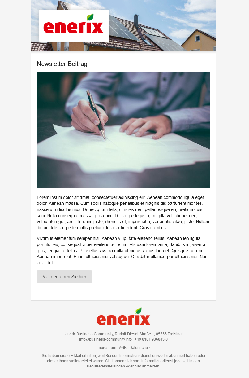 Beispielansicht Beitrag im Newsletter